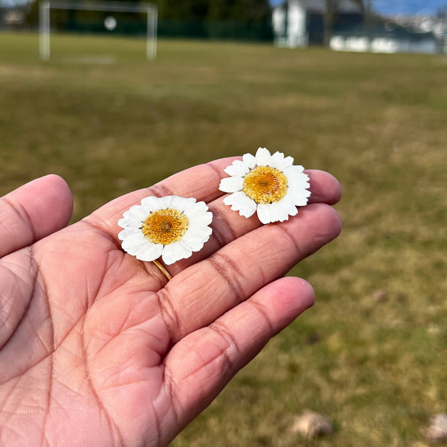 Daisy Stud Earrings