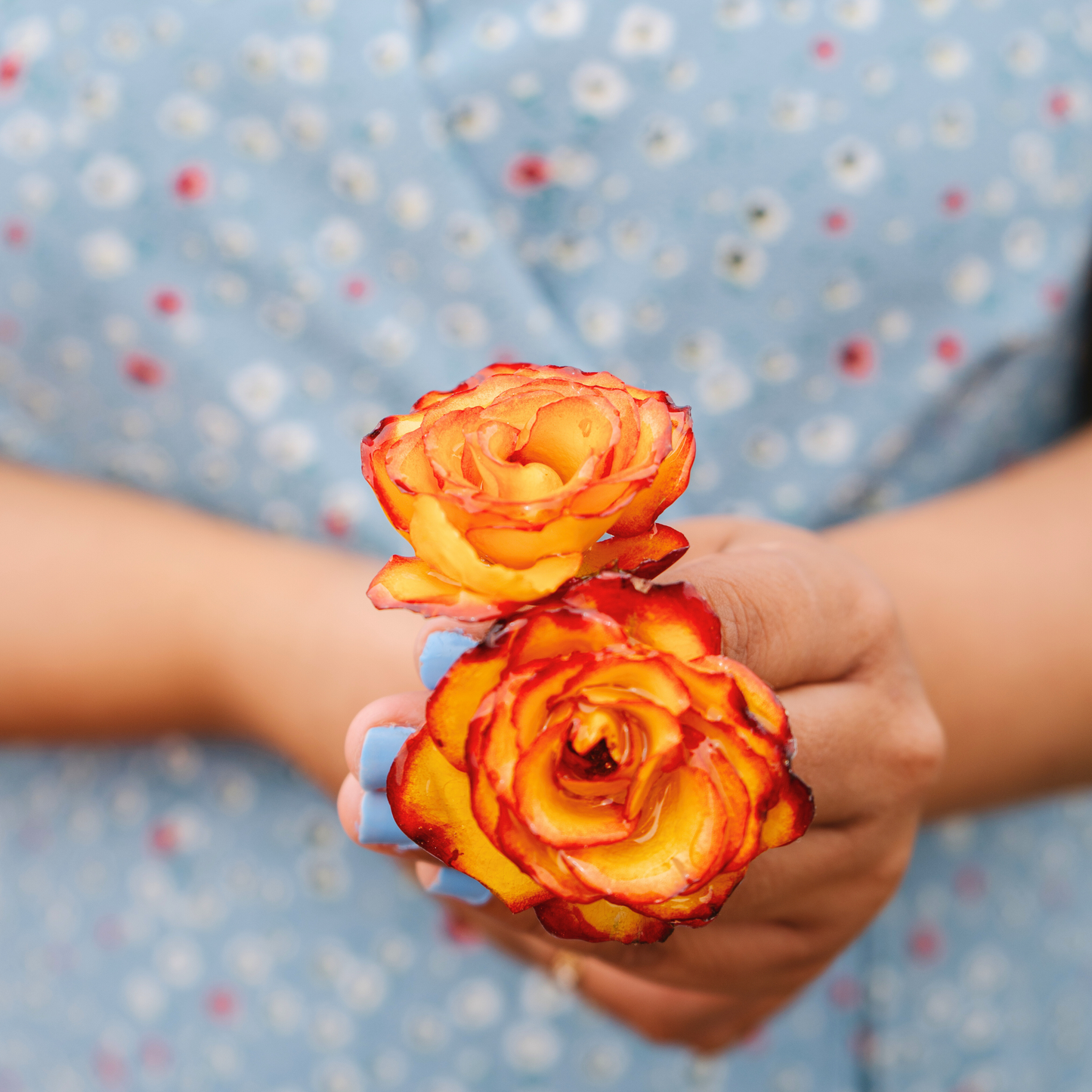 Yellow red rose dangle earrings