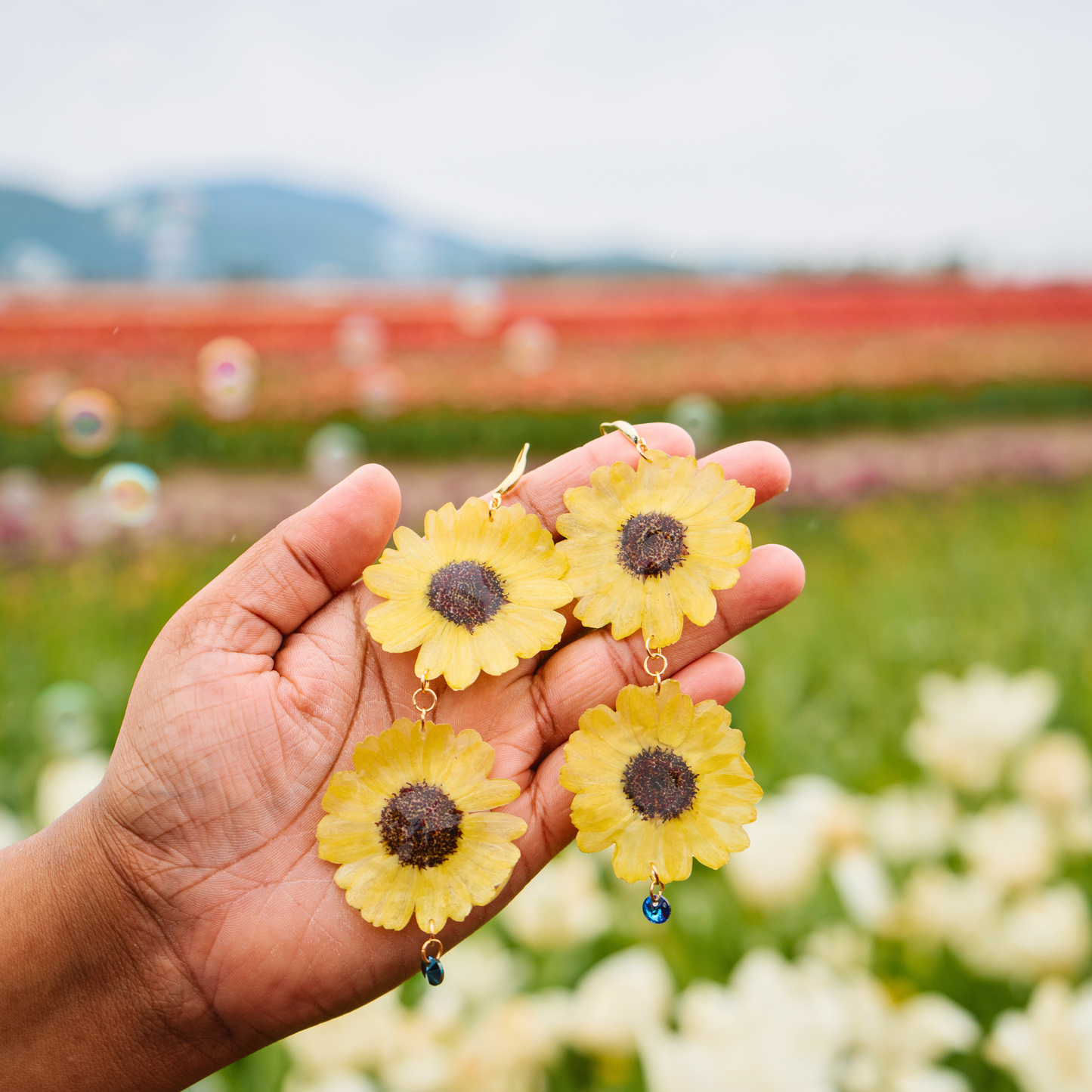 PREORDER Real sunflower earrings