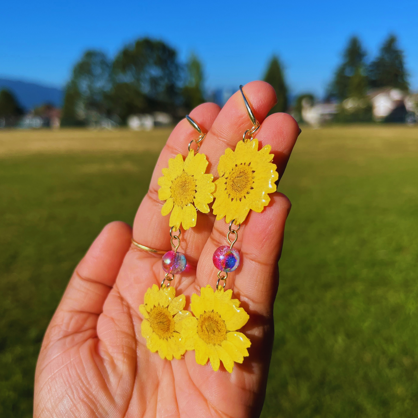 Yellow Daisy Real Flower Earrings