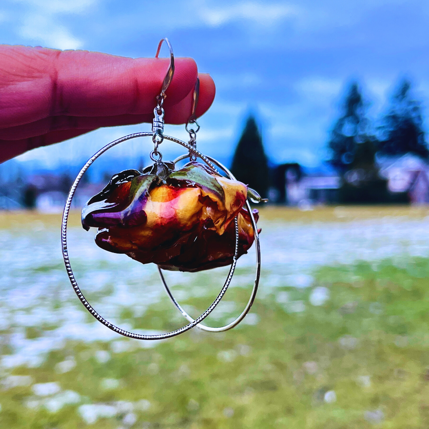 Real Rose earrings