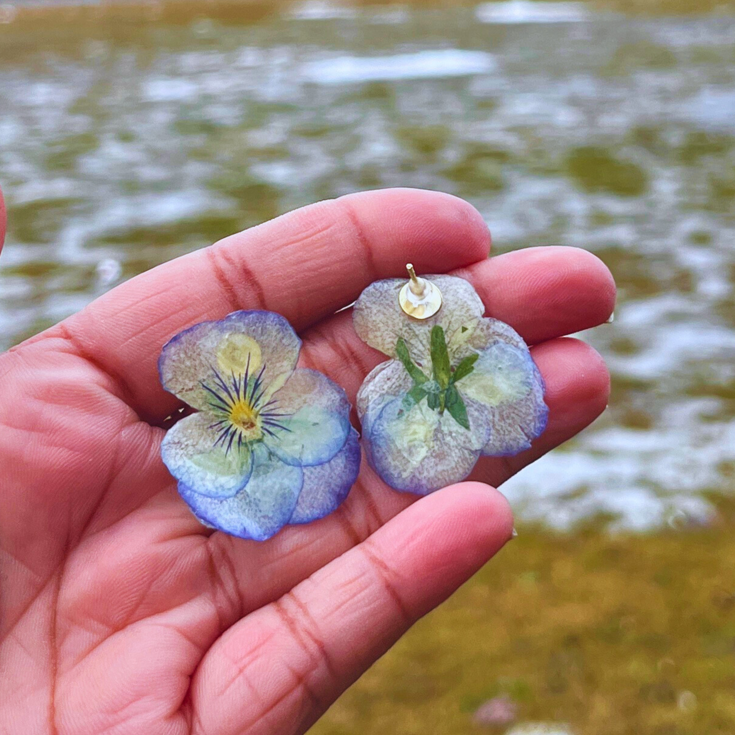 Mini Real Pansies Earrings studs