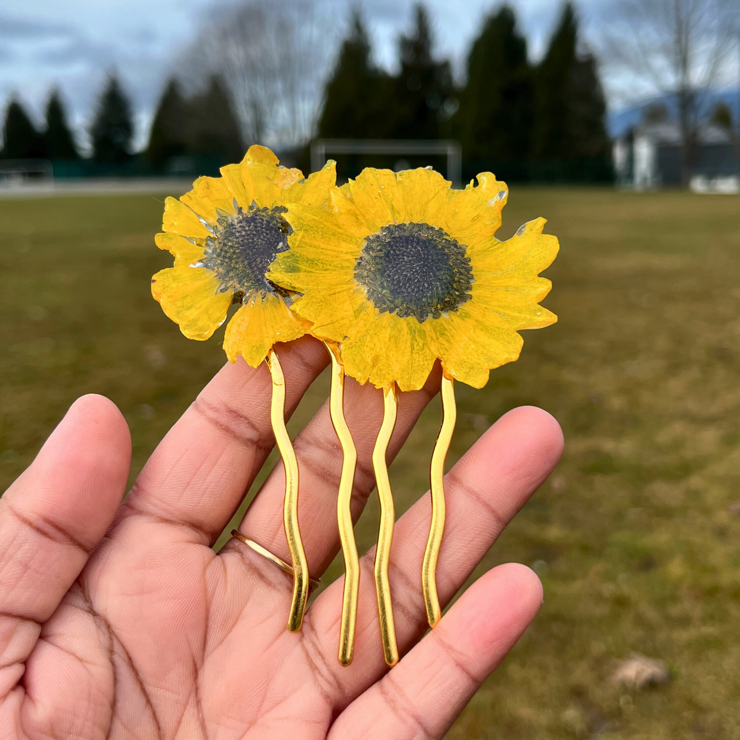 Real Sunflower hair pin