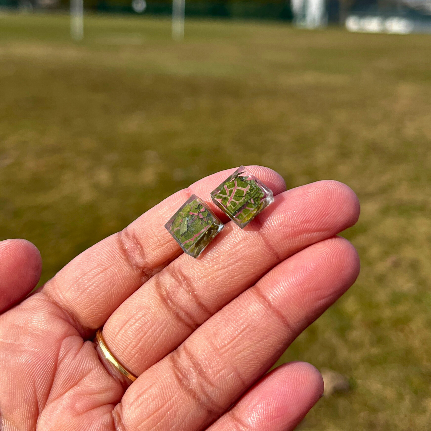 Real Polka Dot Plant Studs