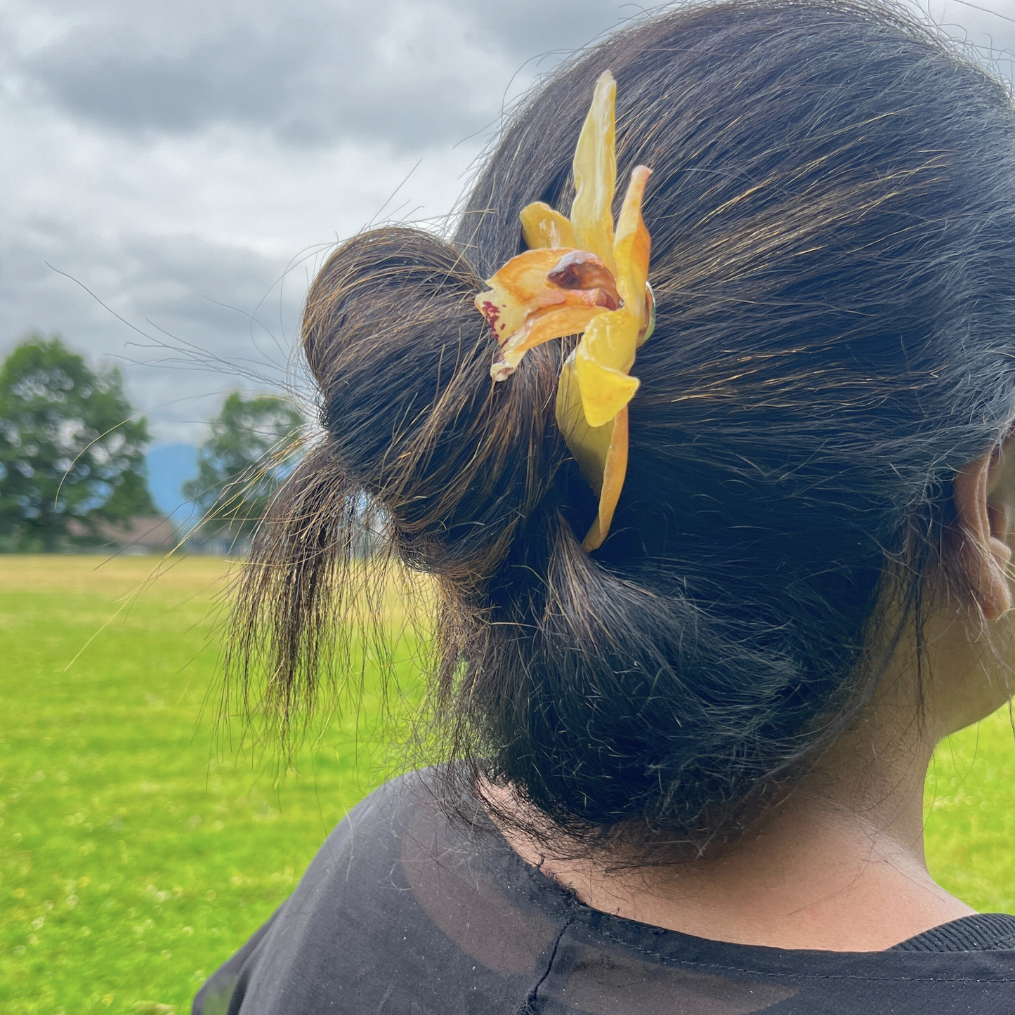 Yellow Real Orchid Cymbidium French Hair Pin