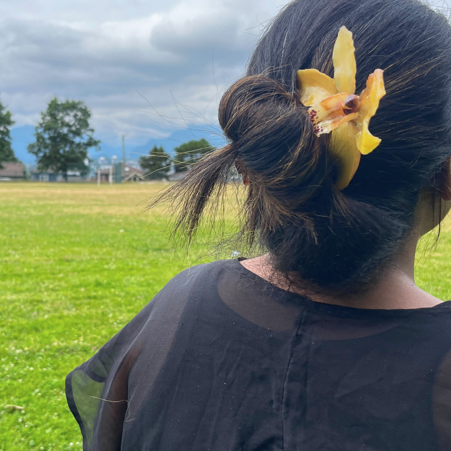 Yellow Real Orchid Cymbidium French Hair Pin