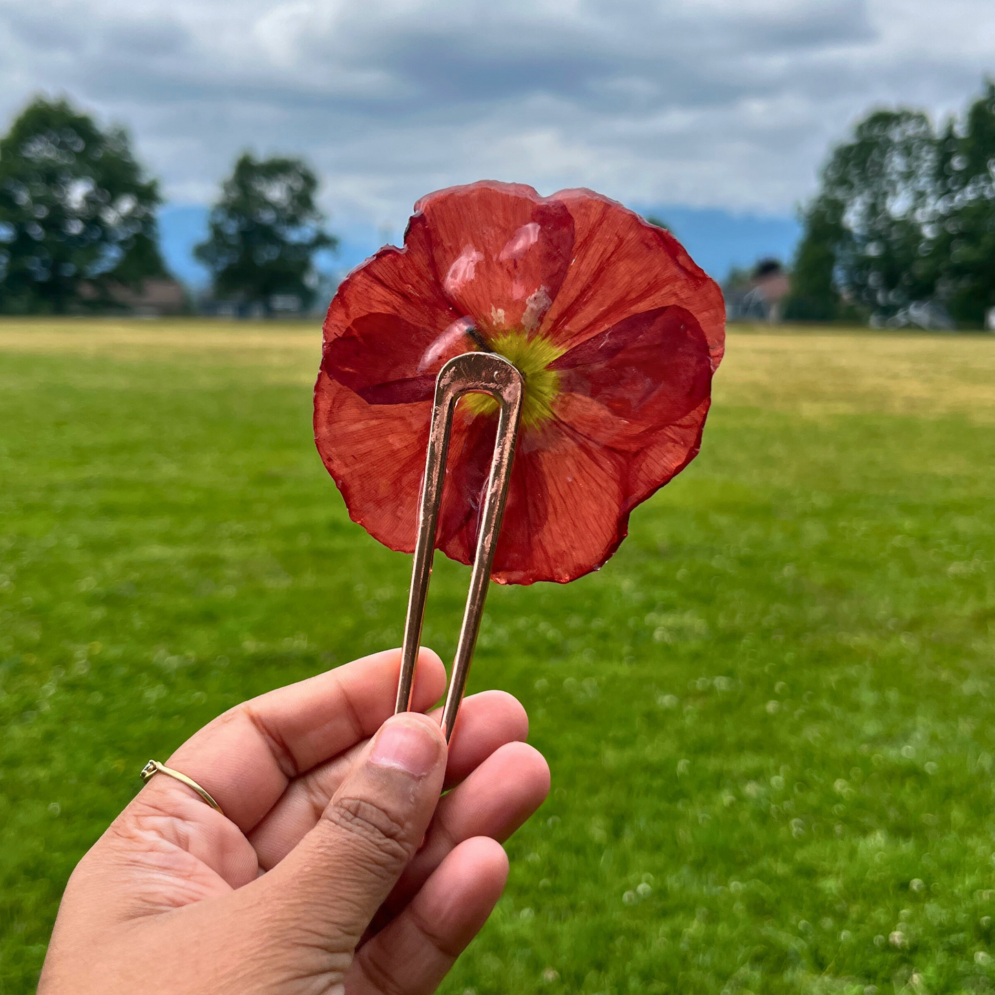 Orange Real Poppy French Hair Pin