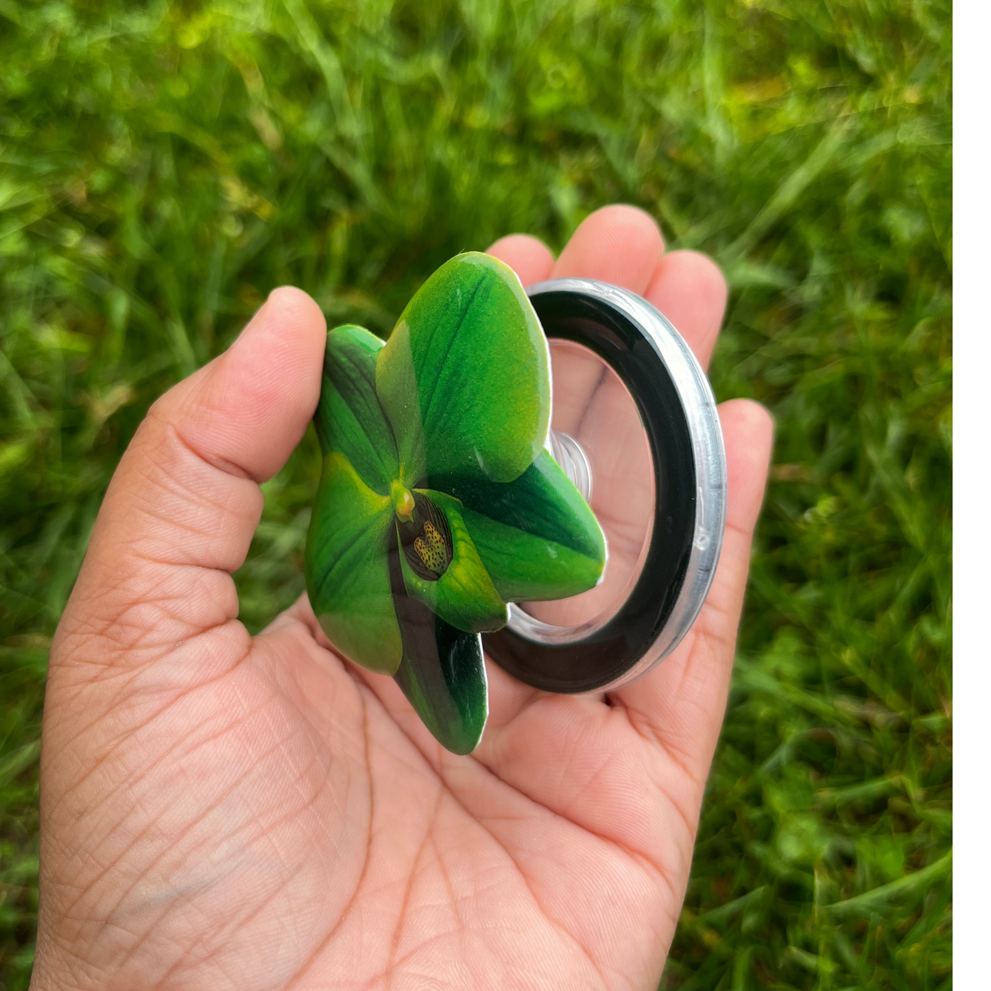 Matcha Green Orchid Phone Socket