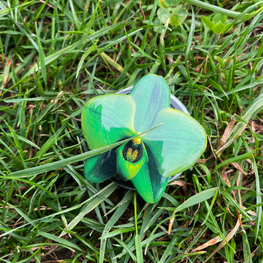 Matcha Green Orchid Phone Socket