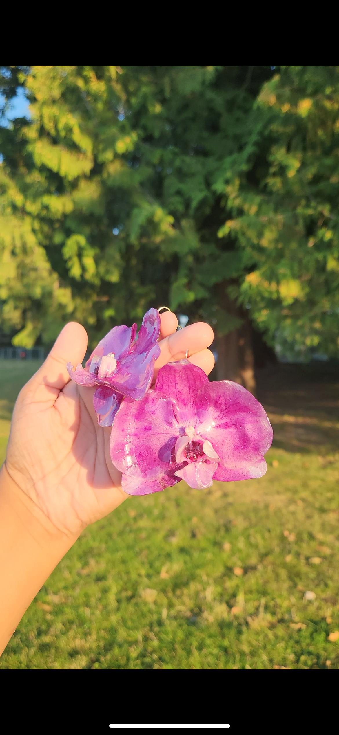 Real Purple Orchid Earrings
