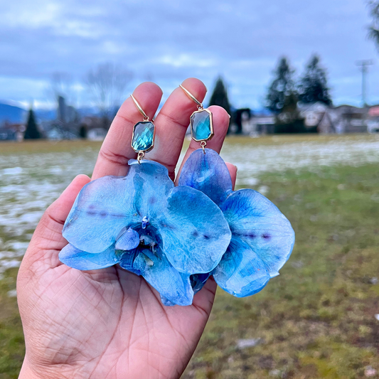 Real Blue Orchid Earrings