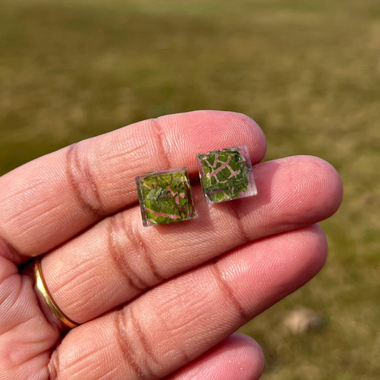 Real Polka Dot Plant Studs