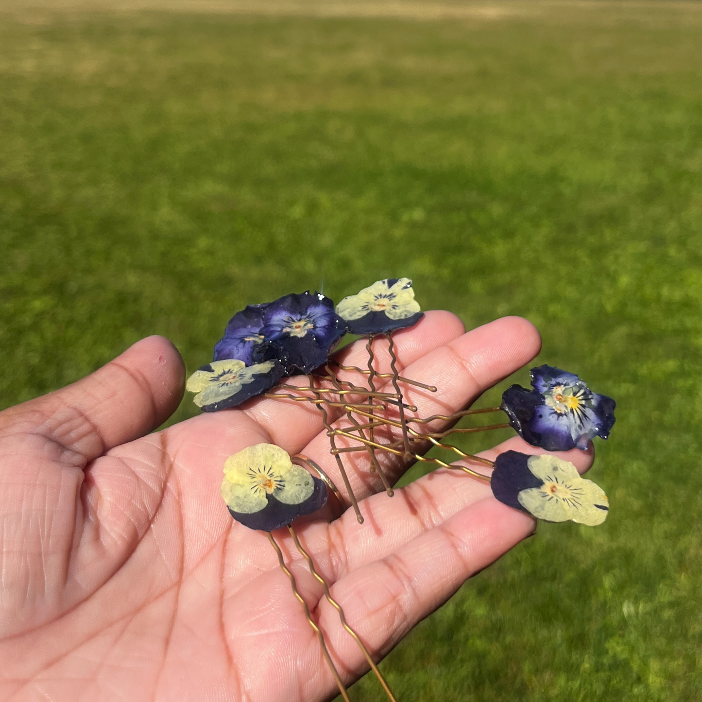 Real Pansy hair pin