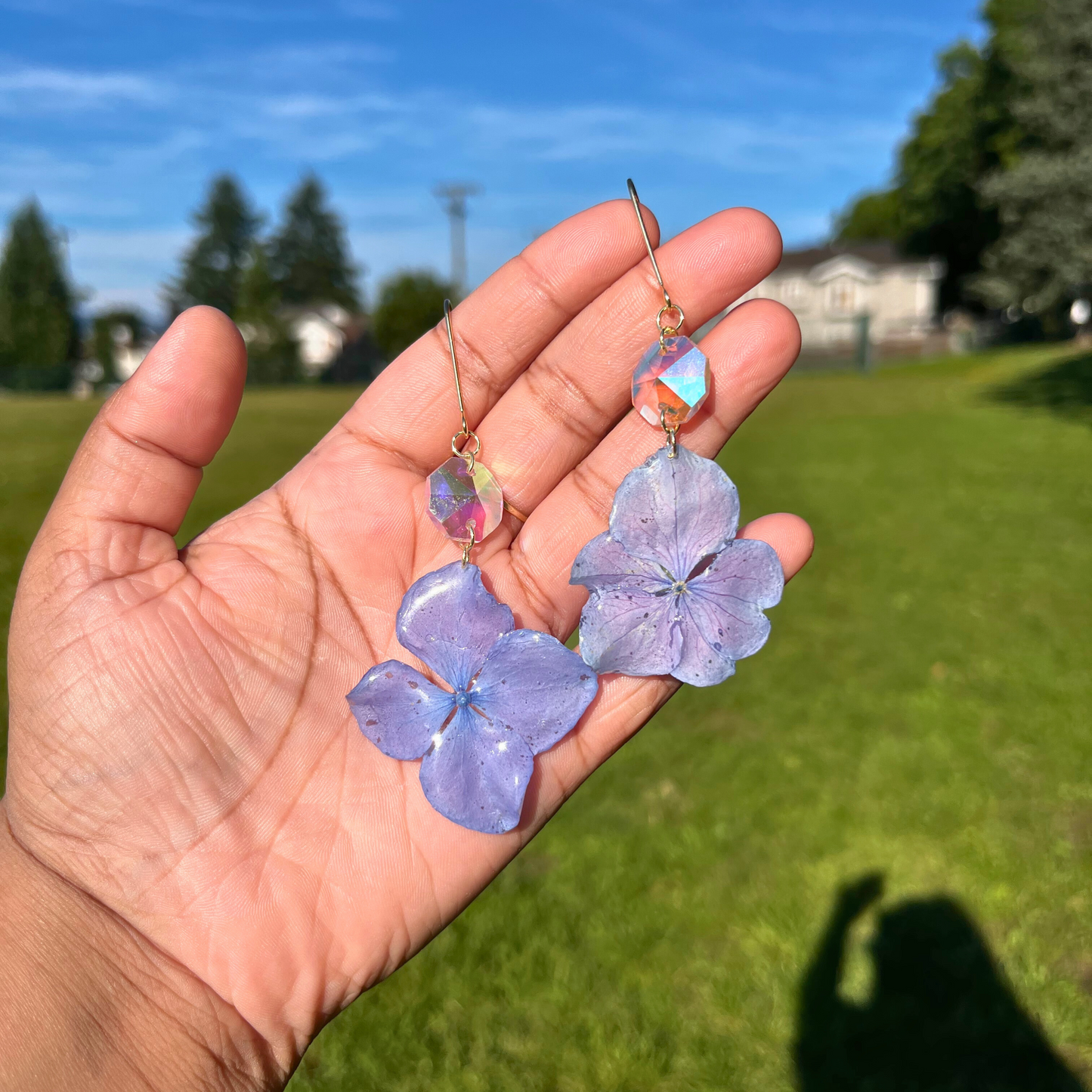 Real Small Hydrangeas Flowers