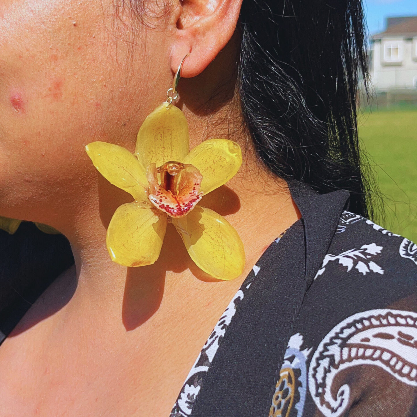Real Yellow Cymbidium orchid Earring