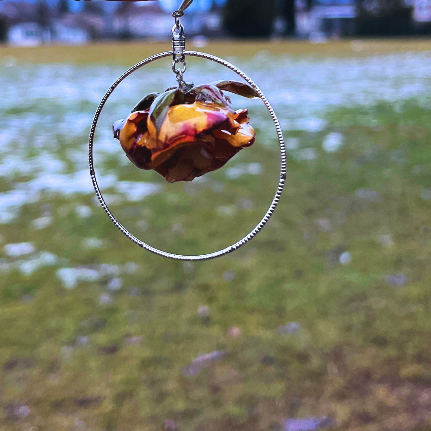 Real Rose earrings