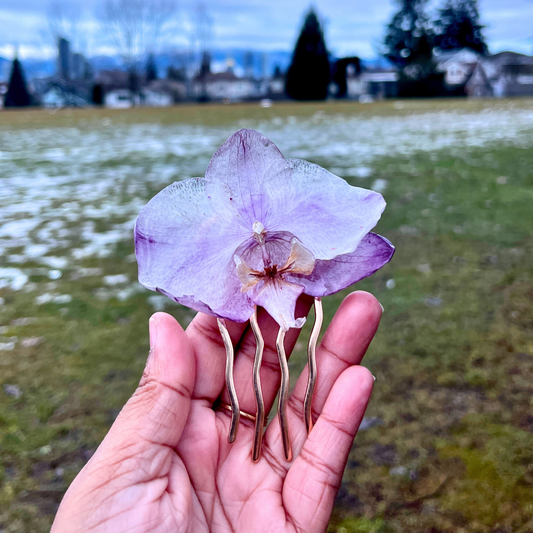 Real Orchid hair pin