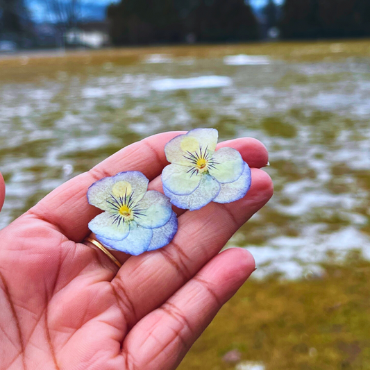Mini Real Pansies Earrings studs