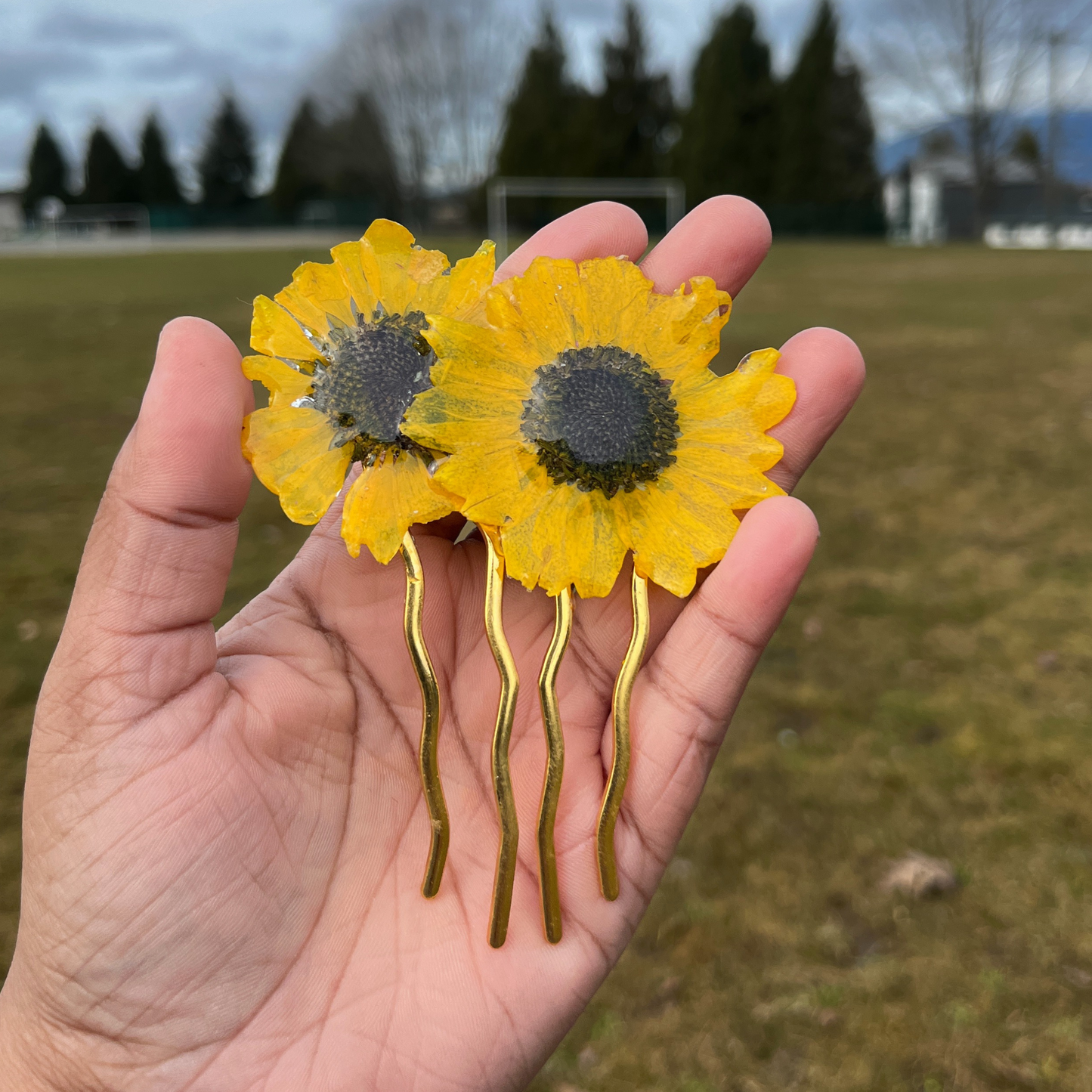 Real Sunflower hair pin