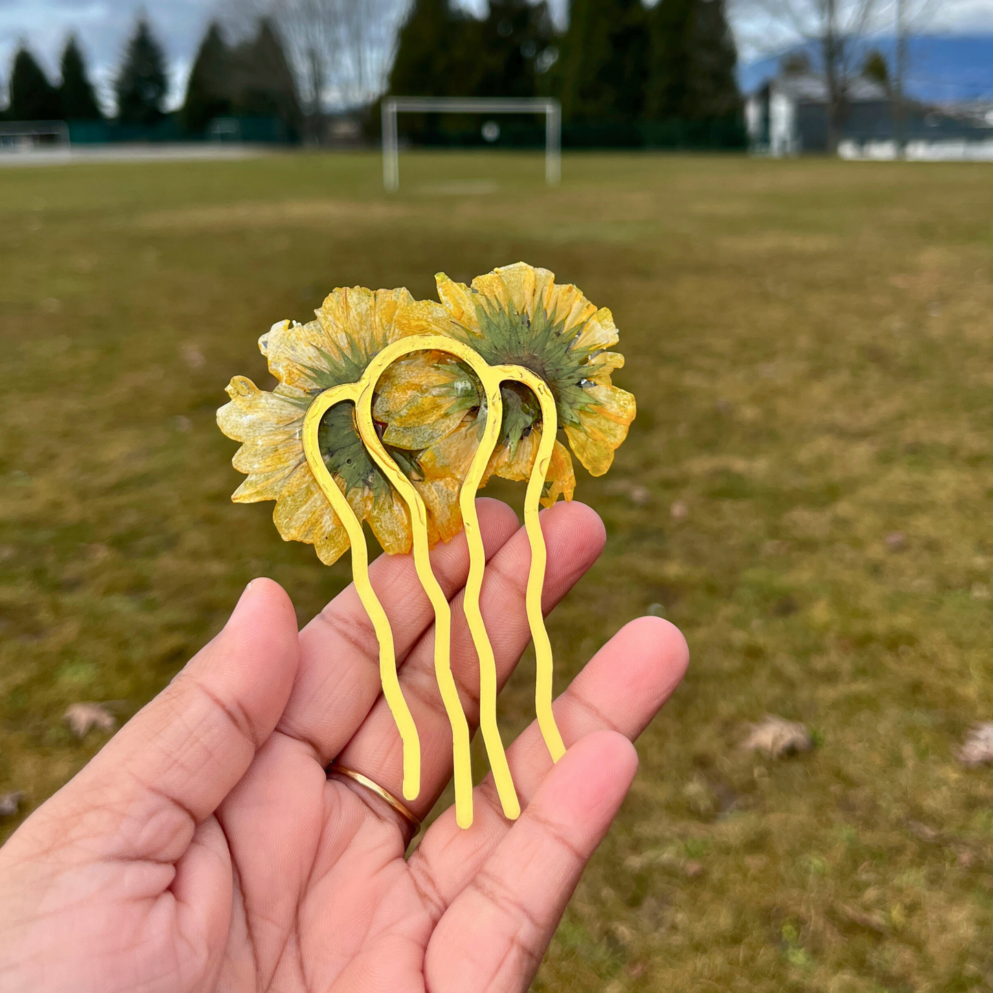 Real Sunflower hair pin