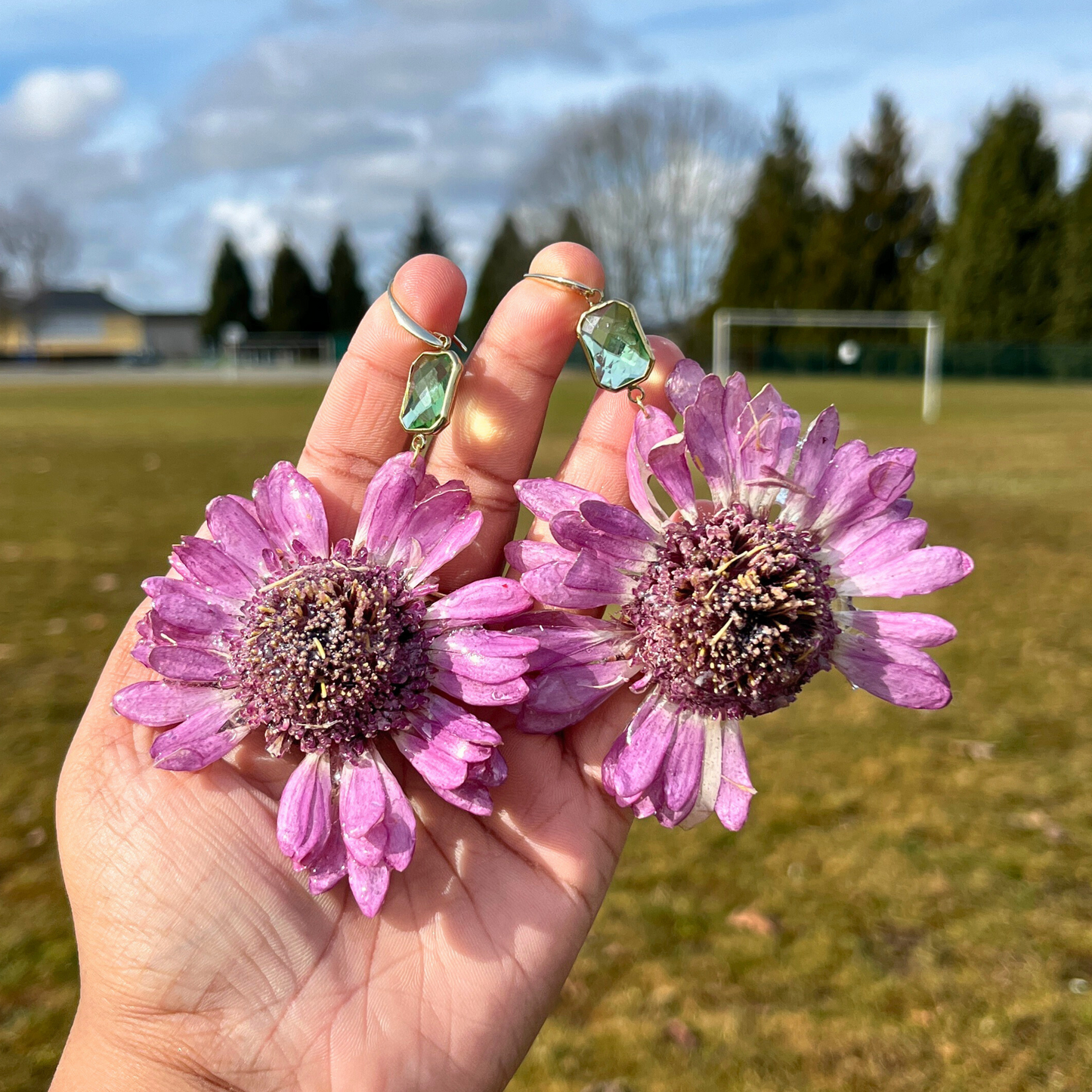 Real Gerbera Earrings