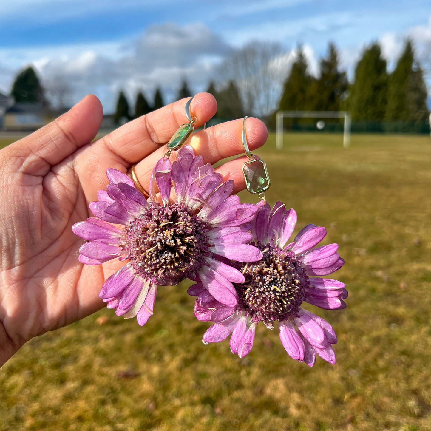 Real Gerbera Earrings