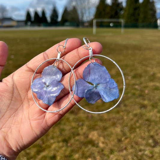 Real Blue Hydrangeas Earrings
