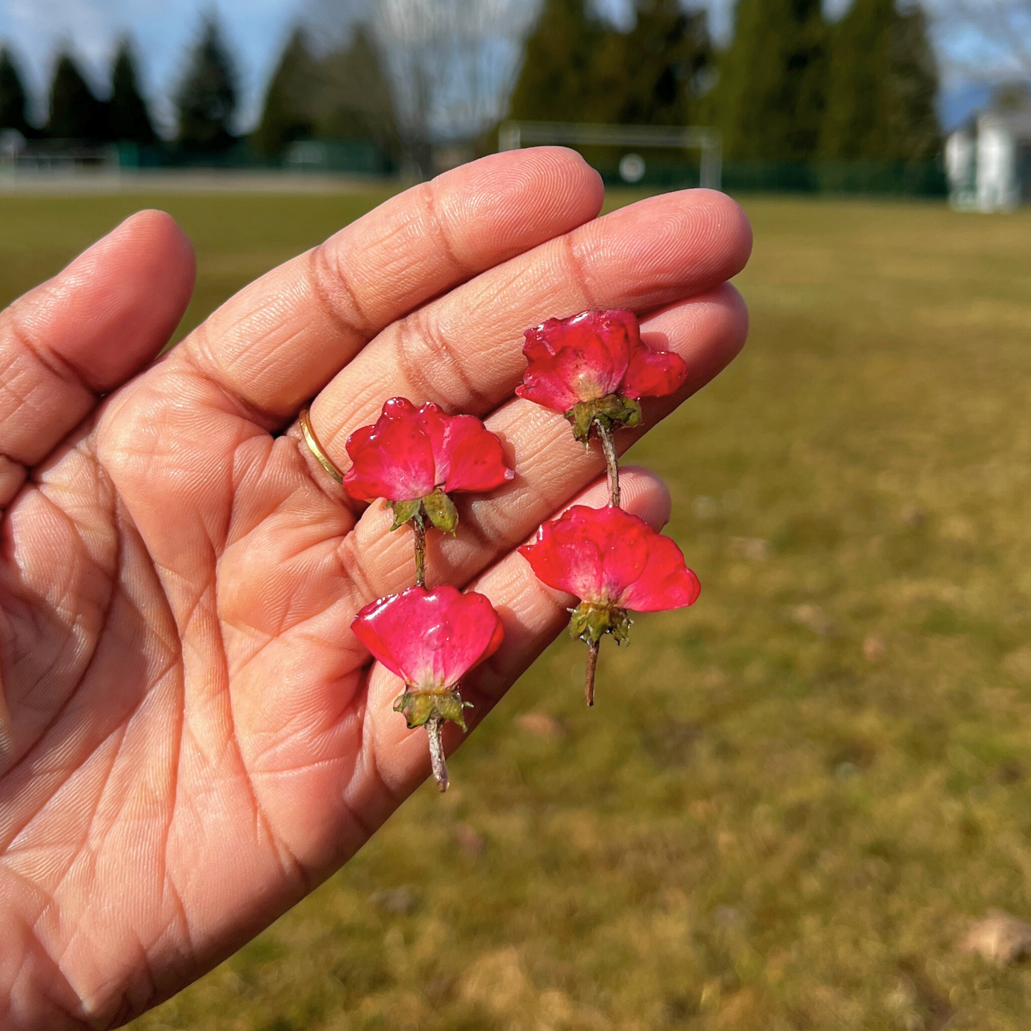 Small Red Rose Earring - Studs