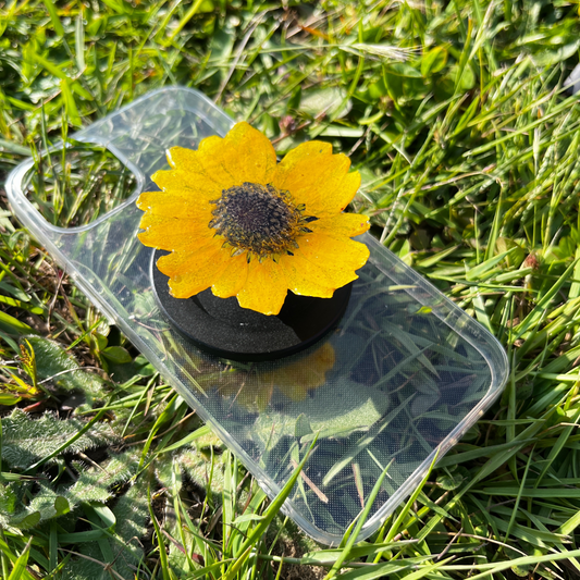 Real Sunflower Phone Grip Holder - Pop Socket