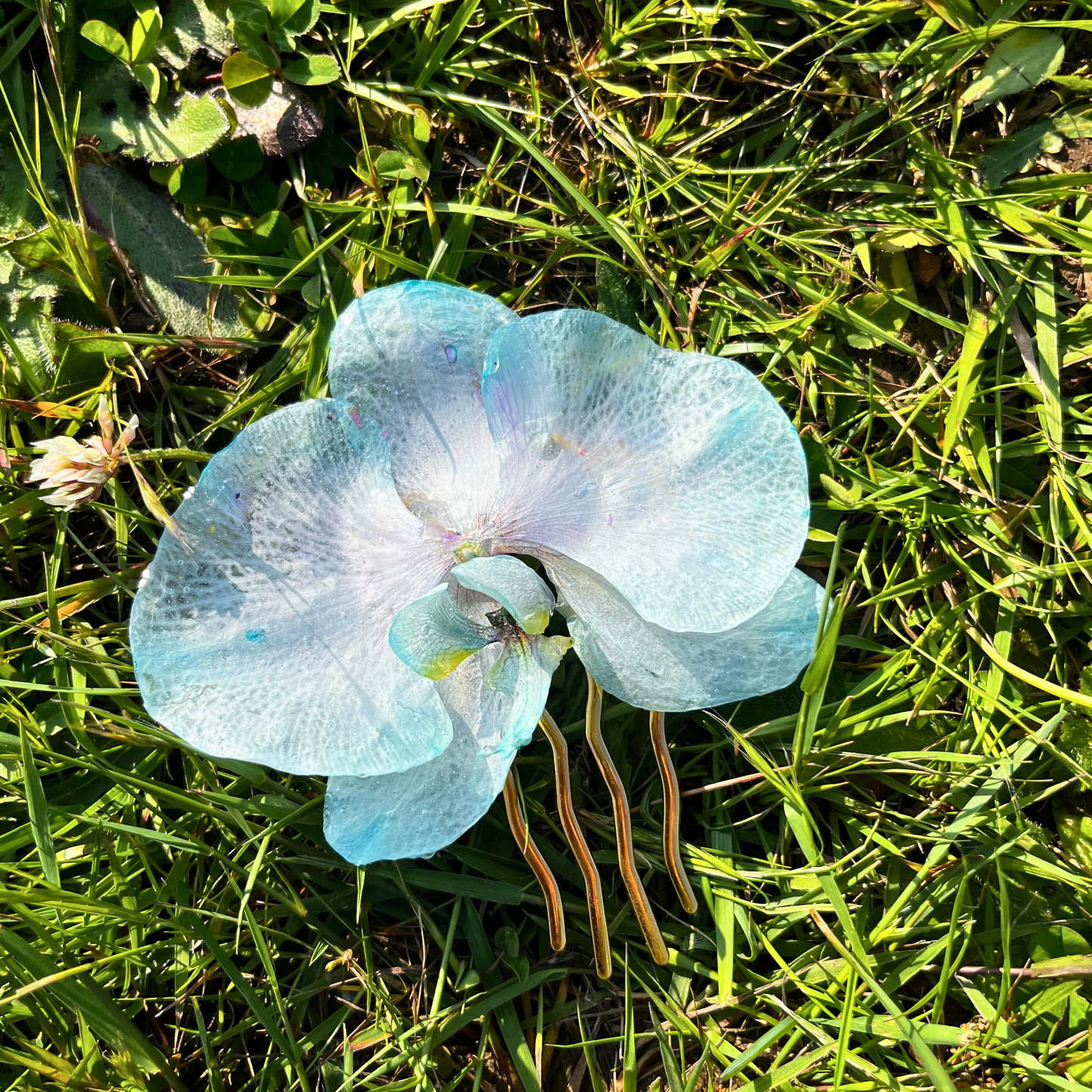 Unique Blue Pinkish Real Orchid Hair Pin