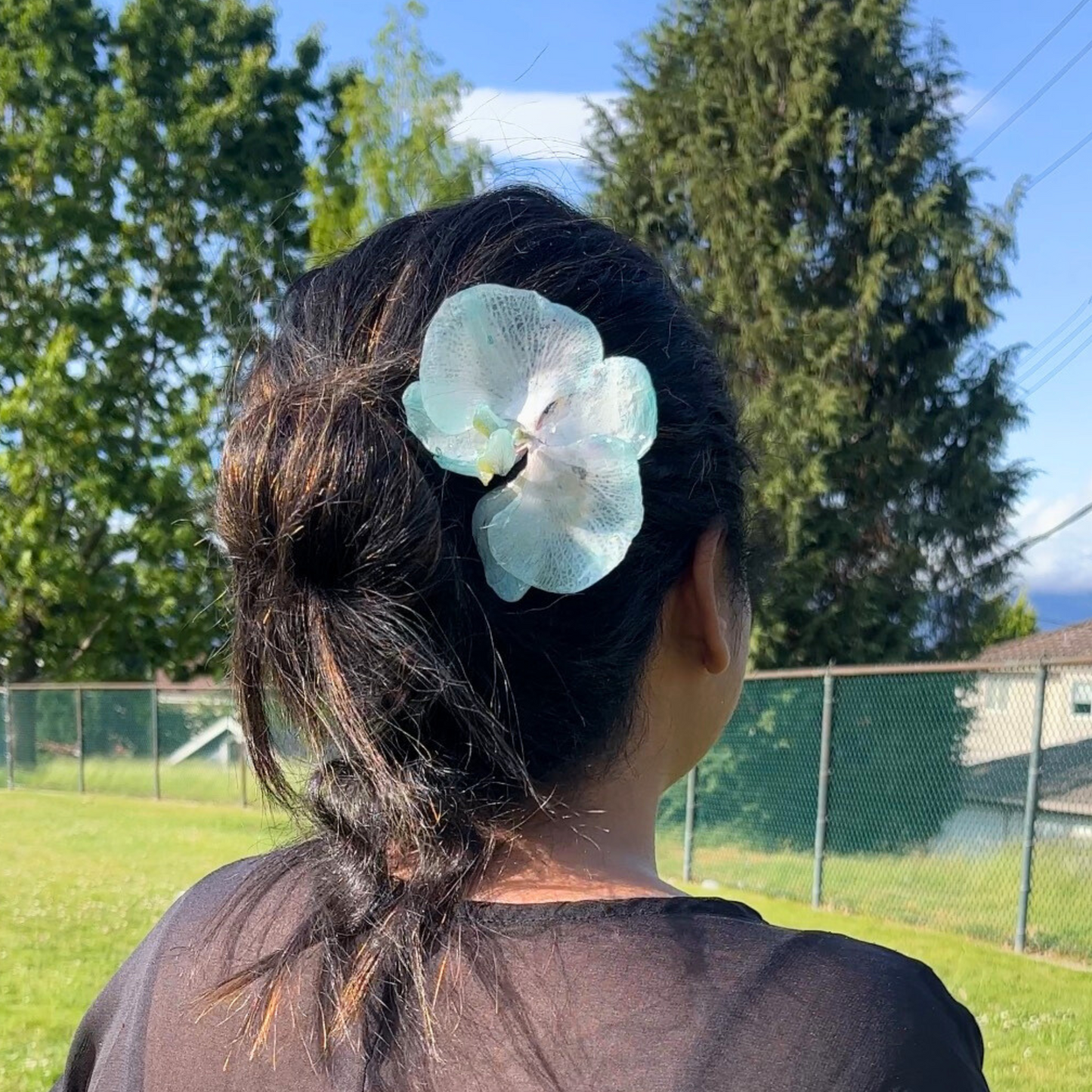 Unique Blue Pinkish Real Orchid Hair Pin