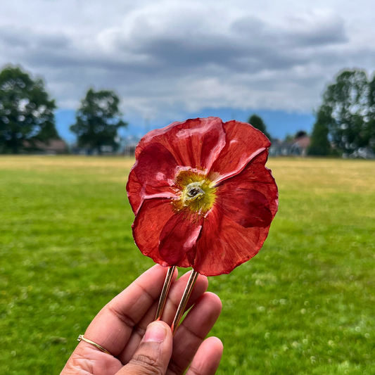 Orange Real Poppy French Hair Pin