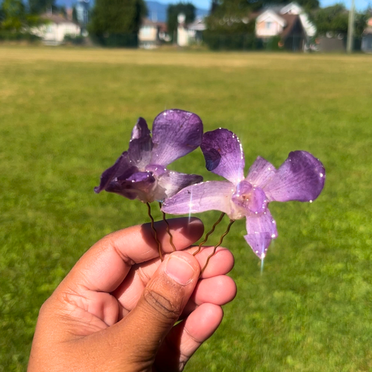 Real Orchid hair pin