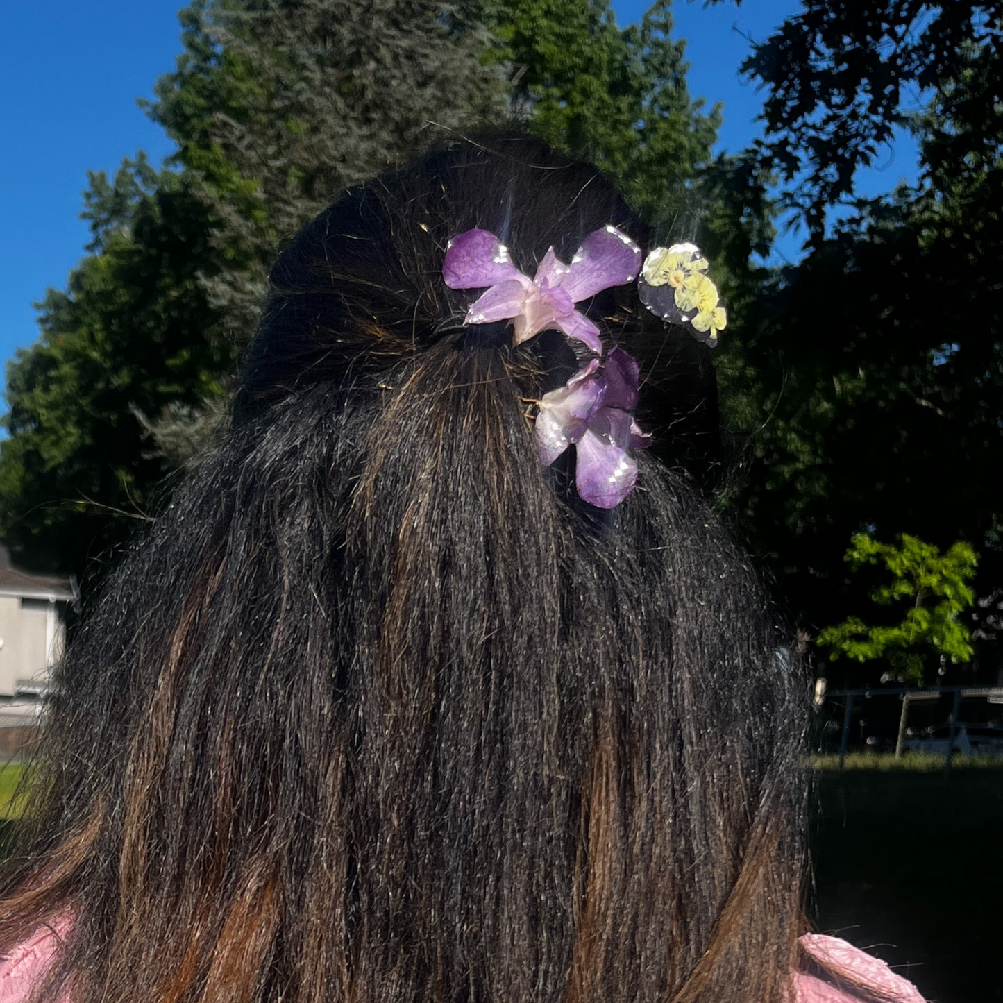 Real Orchid hair pin