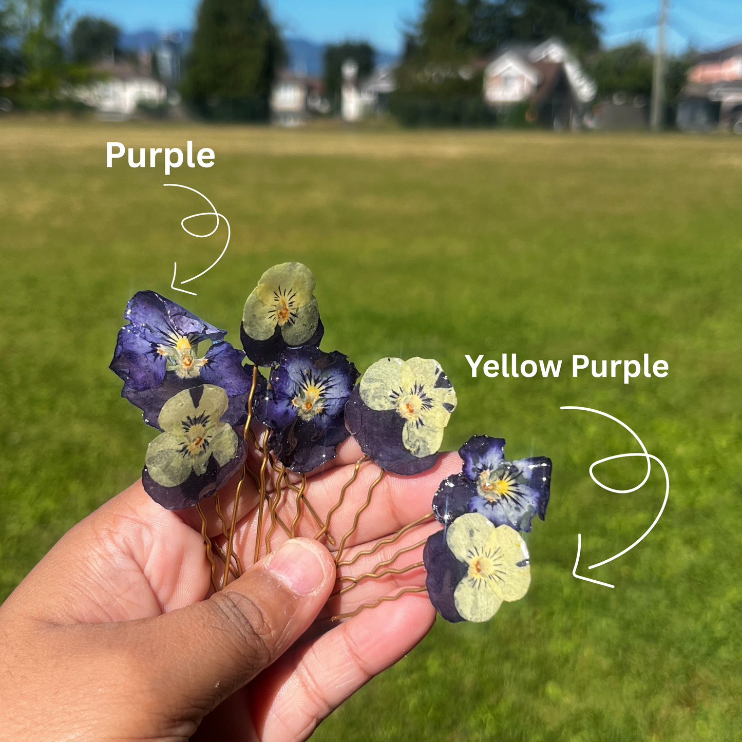 Real Pansy hair pin