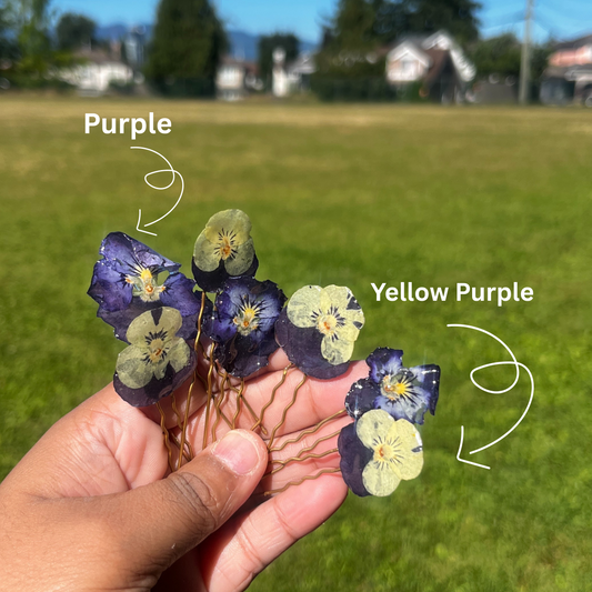Real Pansy hair pin